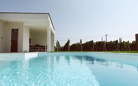 Olive Tree House